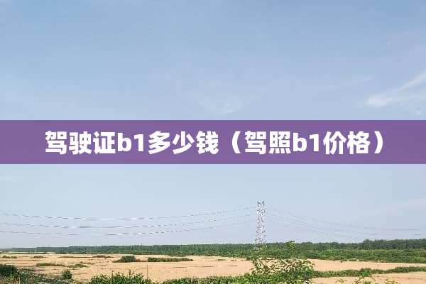 ***b1多少钱（驾照b1价格）