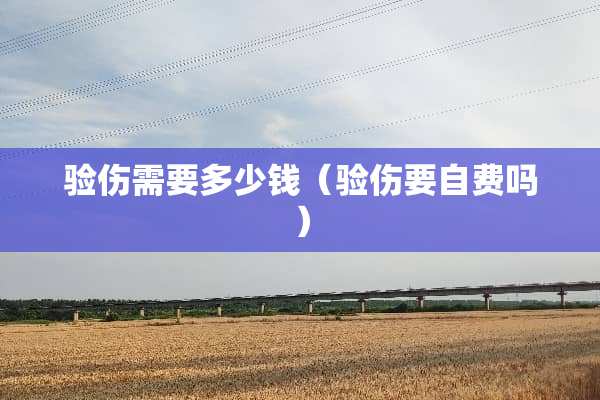 验伤需要多少钱（验伤要自费吗）