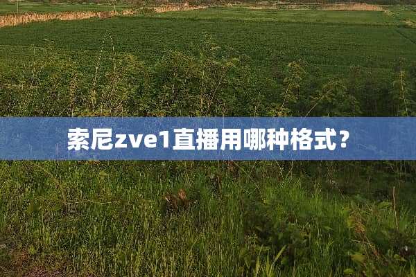 索尼zve1直播用哪种格式？