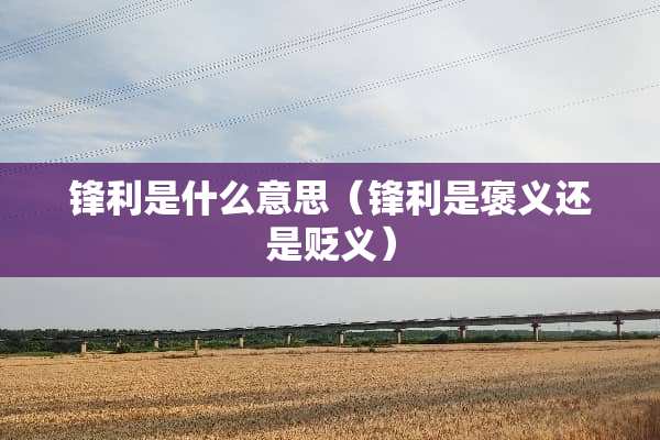 锋利是什么意思（锋利是褒义还是贬义）