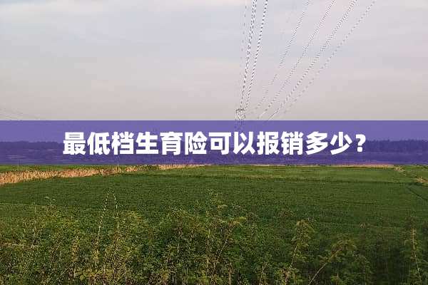 最低档生育险可以报销多少？