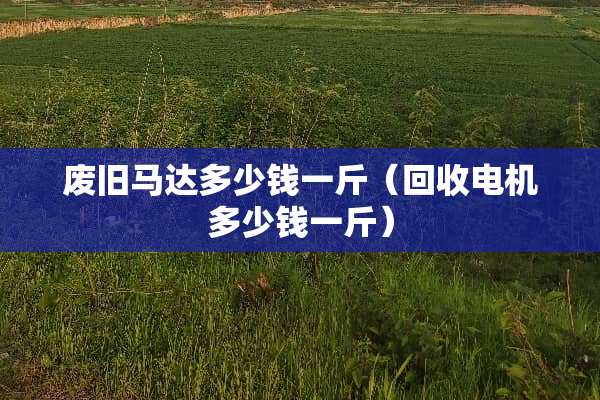 废旧马达多少钱一斤（回收电机多少钱一斤）