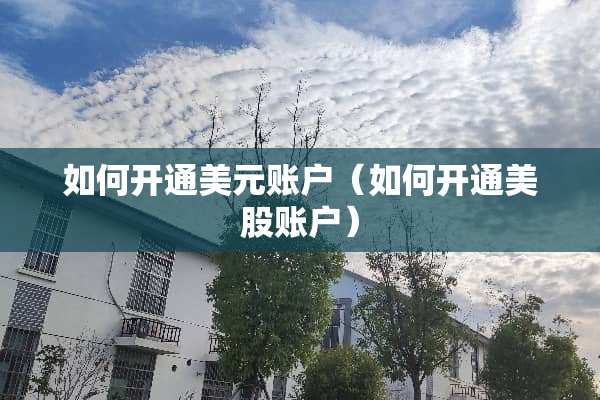 如何开通美元账户（如何开通美股账户）