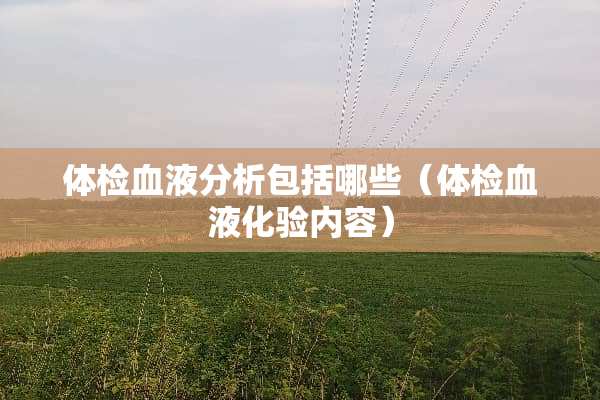 体检血液分析包括哪些（体检血液化验内容）