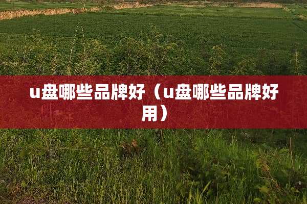 u盘哪些品牌好（u盘哪些品牌好用）