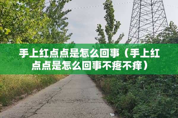 手上红点点是怎么回事（手上红点点是怎么回事不疼不痒）