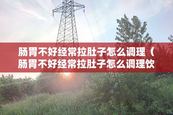 肠胃不好经常拉肚子怎么调理（肠胃不好经常拉肚子怎么调理饮食）