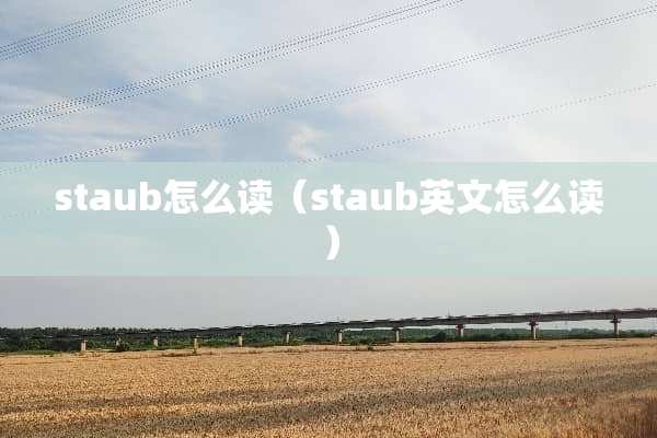 staub怎么读（staub英文怎么读）