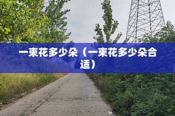 一束花多少朵（一束花多少朵合适）