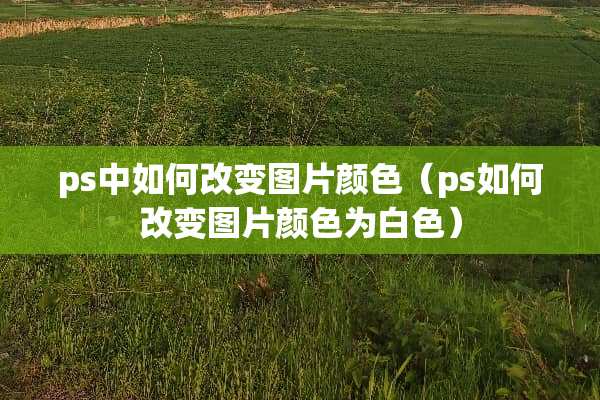 ps中如何改变图片颜色（ps如何改变图片颜色为白色）