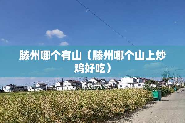 滕州哪个有山（滕州哪个山上炒鸡好吃）