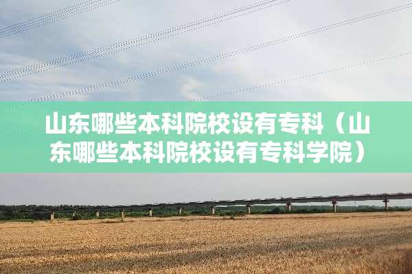 山东哪些本科院校设有专科（山东哪些本科院校设有专科学院）