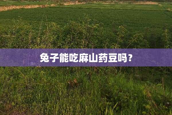 兔子能吃麻山药豆吗？