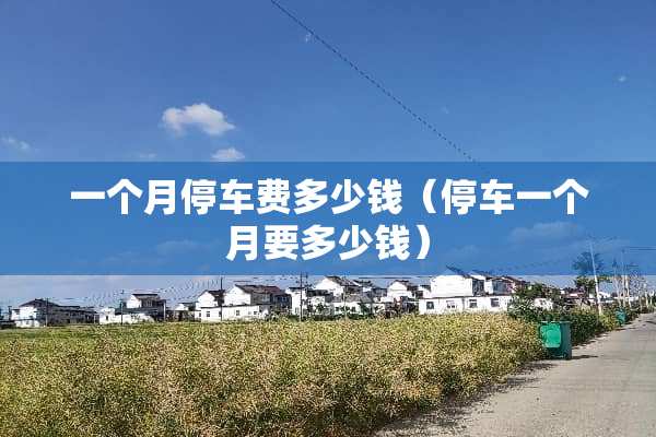 一个月停车费多少钱（停车一个月要多少钱）