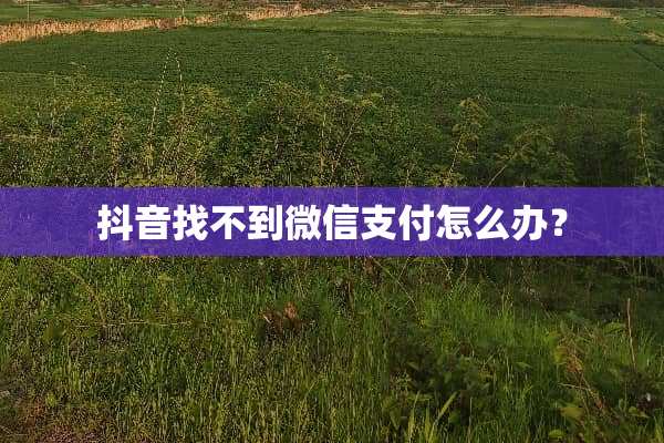 抖音找不到微信支付怎么办？