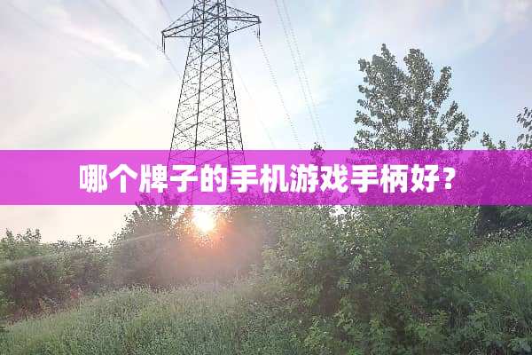 哪个牌子的手机游戏手柄好？