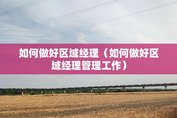 如何做好区域经理（如何做好区域经理管理工作）