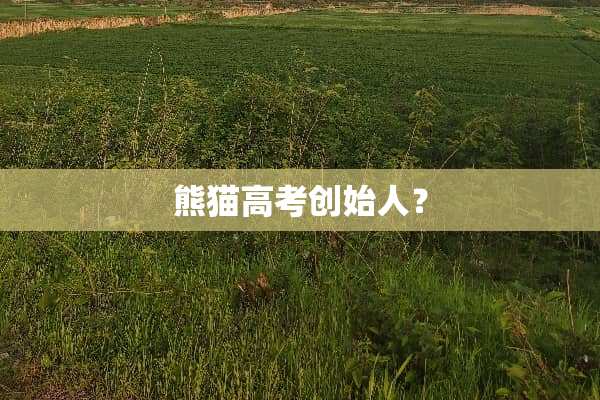 熊猫高考创始人？