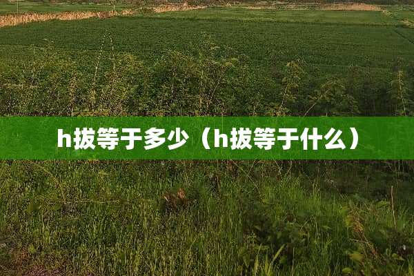 h拔等于多少（h拔等于什么）