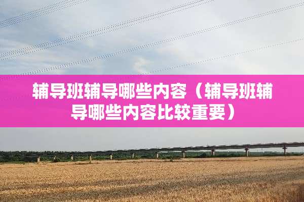 辅导班辅导哪些内容（辅导班辅导哪些内容比较重要）
