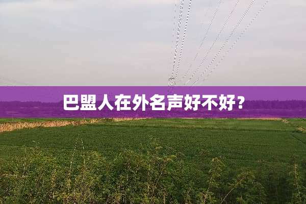 巴盟人在外名声好不好？