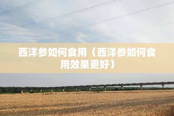 西洋参如何食用（西洋参如何食用效果更好）