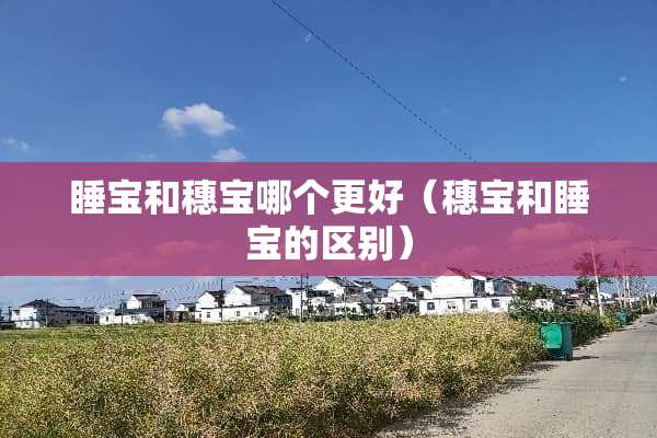 睡宝和穗宝哪个更好（穗宝和睡宝的区别）