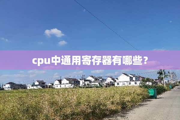 cpu中通用寄存器有哪些？