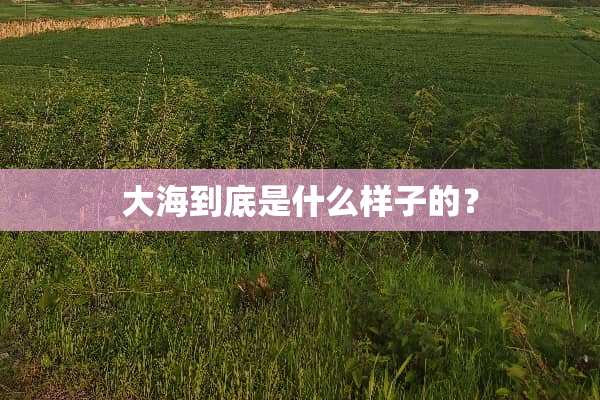 大海到底是什么样子的？