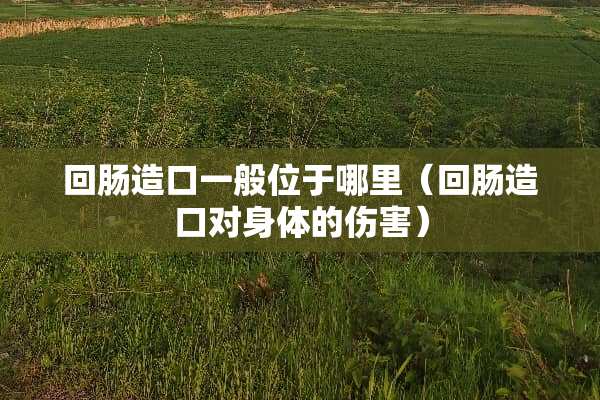 回肠造口一般位于哪里（回肠造口对身体的伤害）