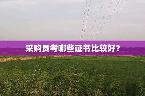 采购员考哪些证书比较好？