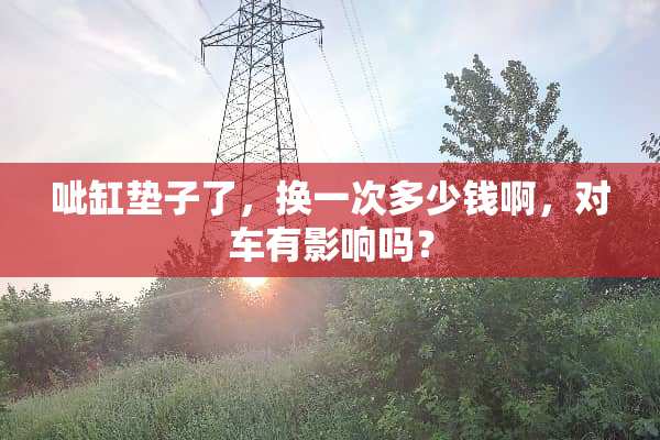 呲缸垫子了，换一次多少钱啊，对车有影响吗？