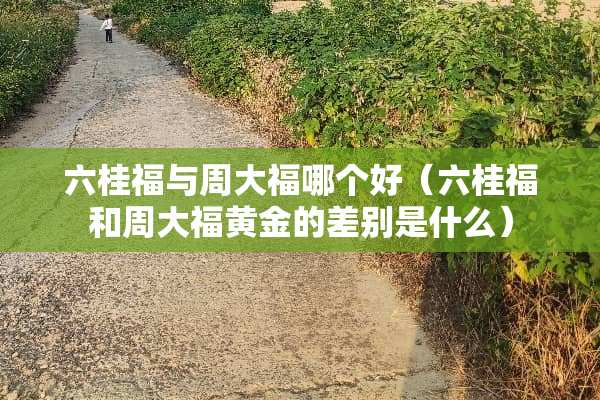 六桂福与周大福哪个好（六桂福和周大福黄金的差别是什么）