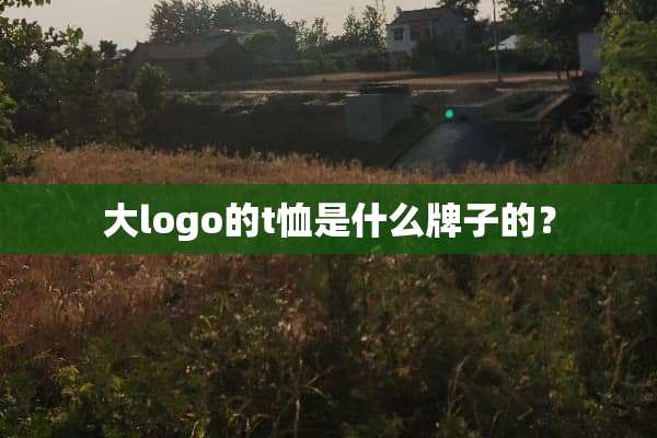 大logo的t恤是什么牌子的？