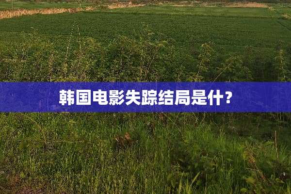 韩国电影失踪结局是什？
