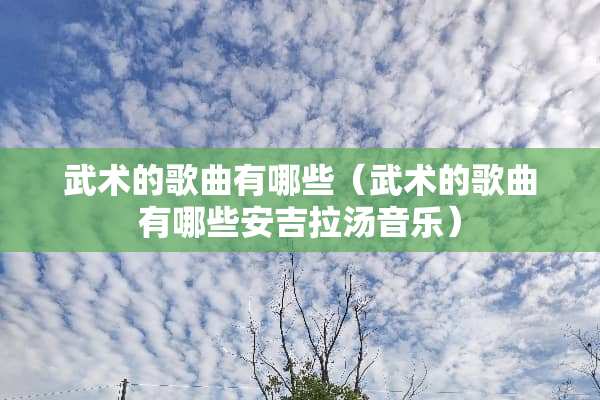 武术的歌曲有哪些（武术的歌曲有哪些安吉拉汤音乐）