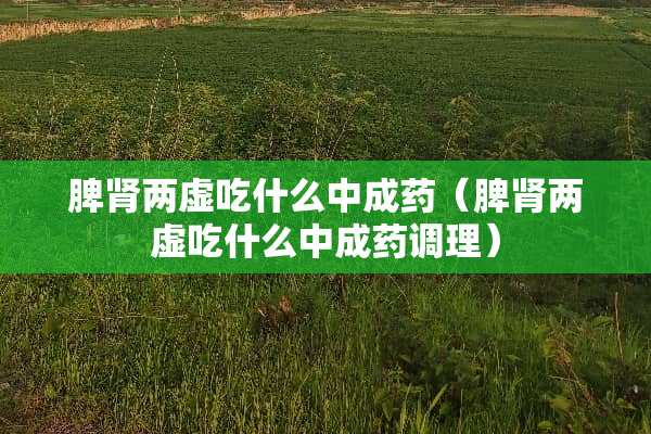 脾肾两虚吃什么中成药（脾肾两虚吃什么中成药调理）
