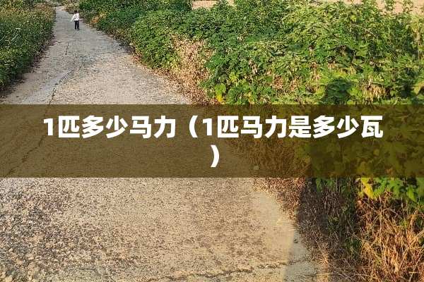 1匹多少马力（1匹马力是多少瓦）