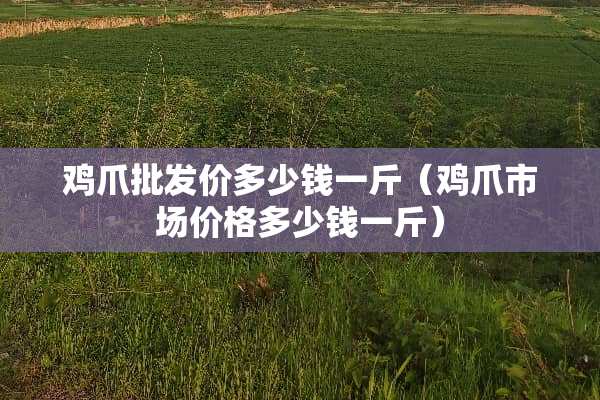 鸡爪批发价多少钱一斤（鸡爪市场价格多少钱一斤）
