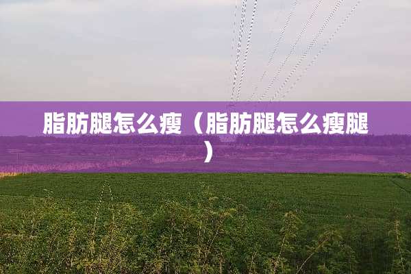 脂肪腿怎么瘦（脂肪腿怎么瘦腿）