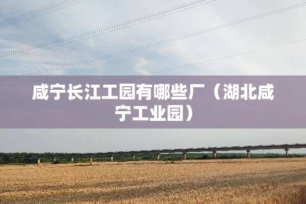 咸宁长江工园有哪些厂（湖北咸宁工业园）