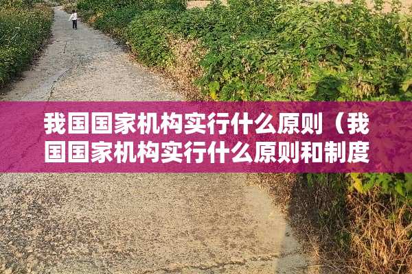 我国国家机构实行什么原则（我国国家机构实行什么原则和制度）
