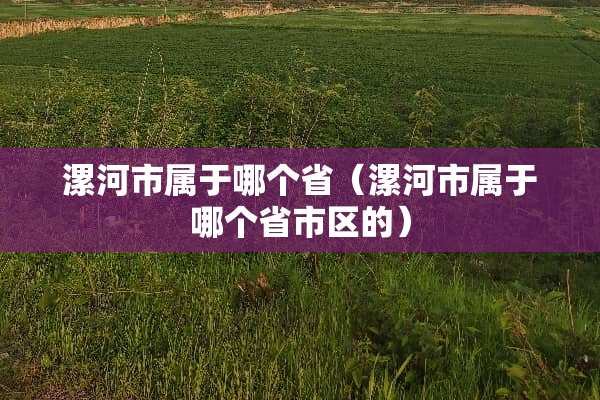 漯河市属于哪个省（漯河市属于哪个省市区的）