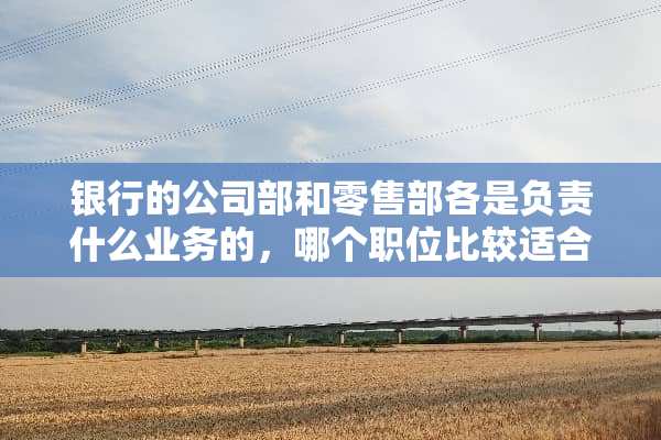 银行的公司部和零售部各是负责什么业务的，哪个职位比较适合初进者？