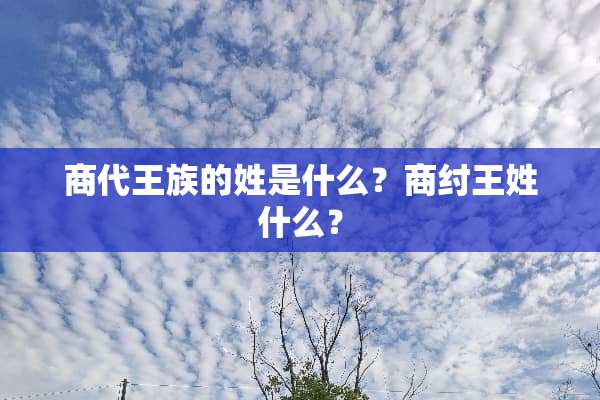 商代王族的姓是什么？商纣王姓什么？