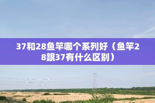 37和28鱼竿哪个系列好（鱼竿28跟37有什么区别）