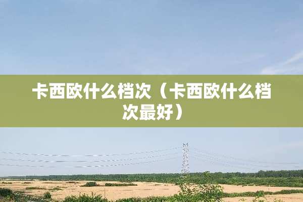 卡西欧什么档次（卡西欧什么档次最好）