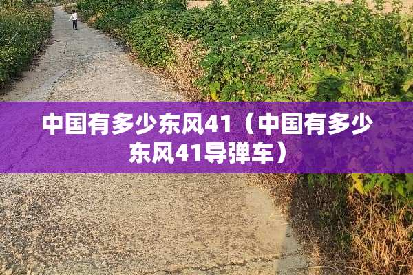 中国有多少东风41（中国有多少东风41**车）