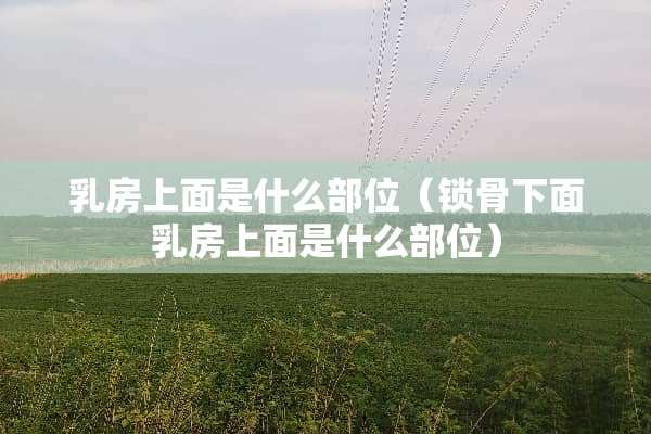 *房上面是什么部位（锁骨下面*房上面是什么部位）