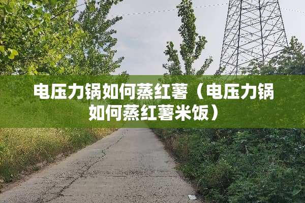 电压力锅如何蒸红薯（电压力锅如何蒸红薯米饭）